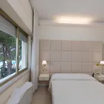 Palace מלון 4*